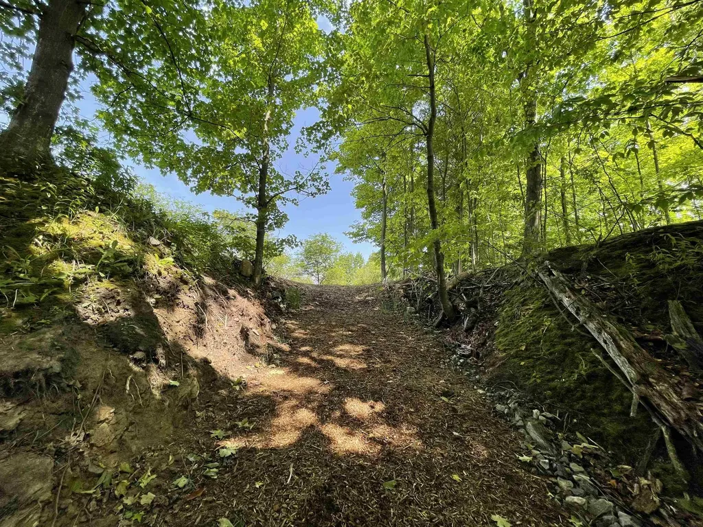 S Lee Point Road Bingham Township MI 49682