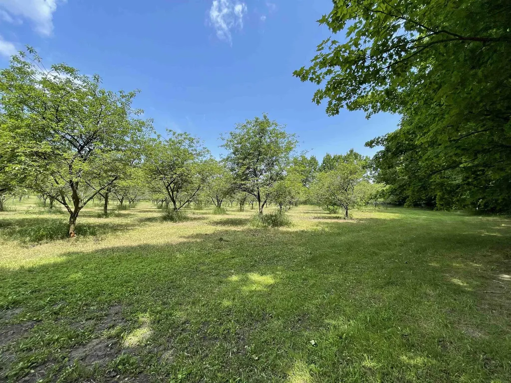 S Lee Point Road Bingham Township MI 49682