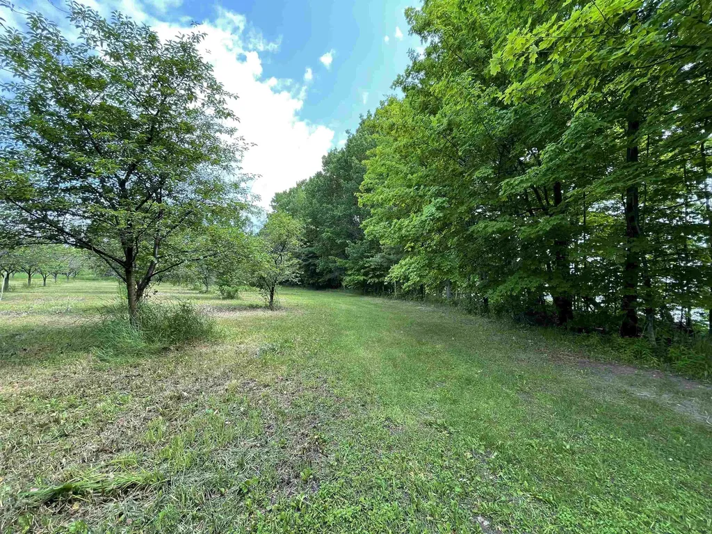 S Lee Point Road Bingham Township MI 49682