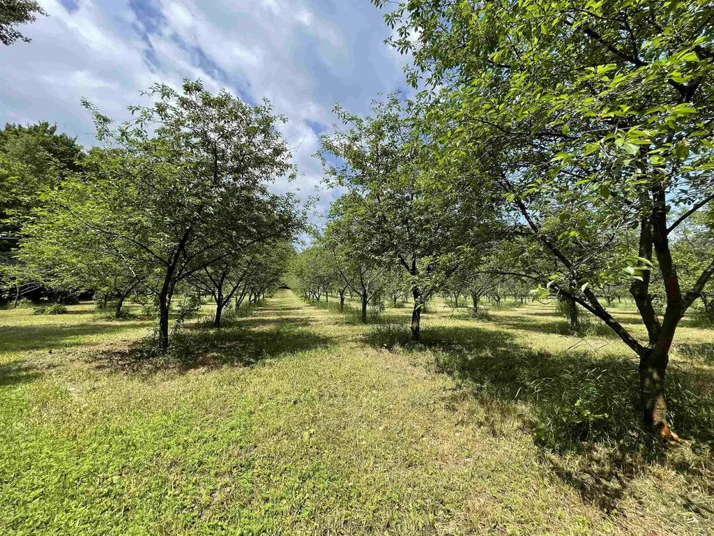 S Lee Point Road Bingham Township MI 49682