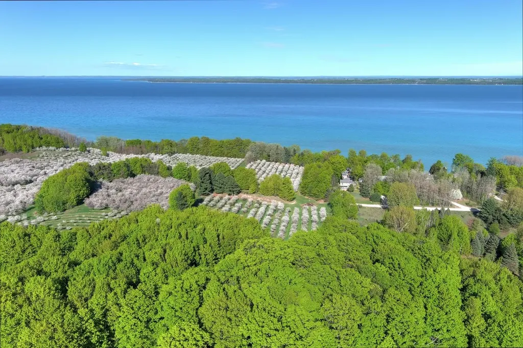 S Lee Point Road Bingham Township MI 49682