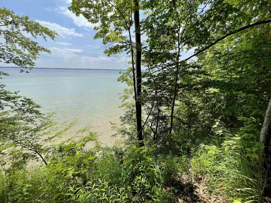 S Lee Point Road Bingham Township MI 49682