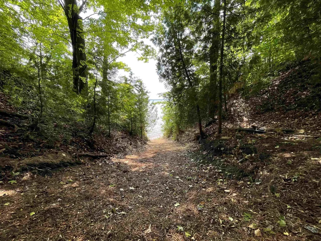 S Lee Point Road Bingham Township MI 49682