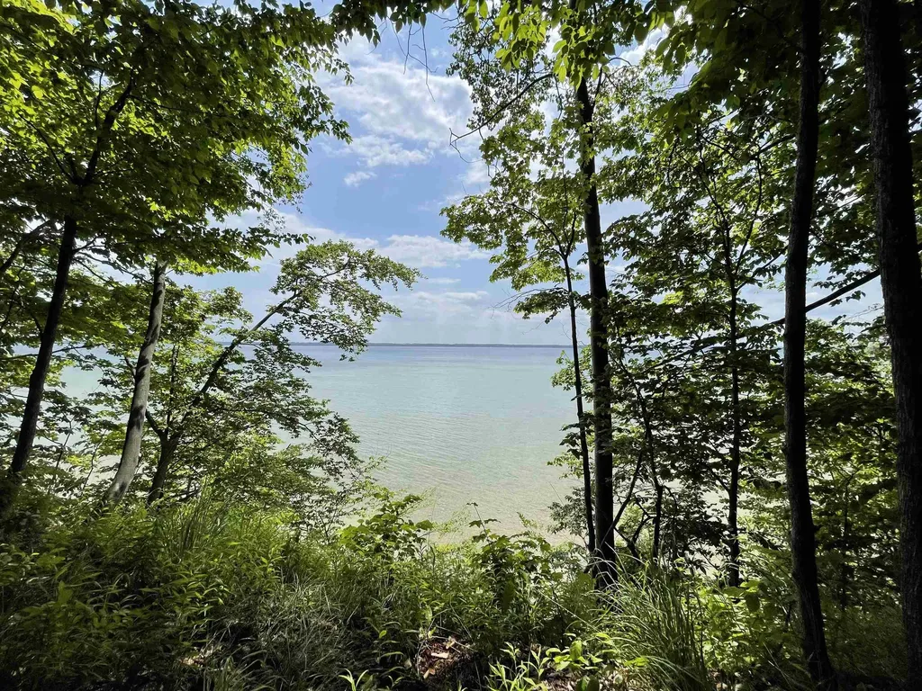 S Lee Point Road Bingham Township MI 49682