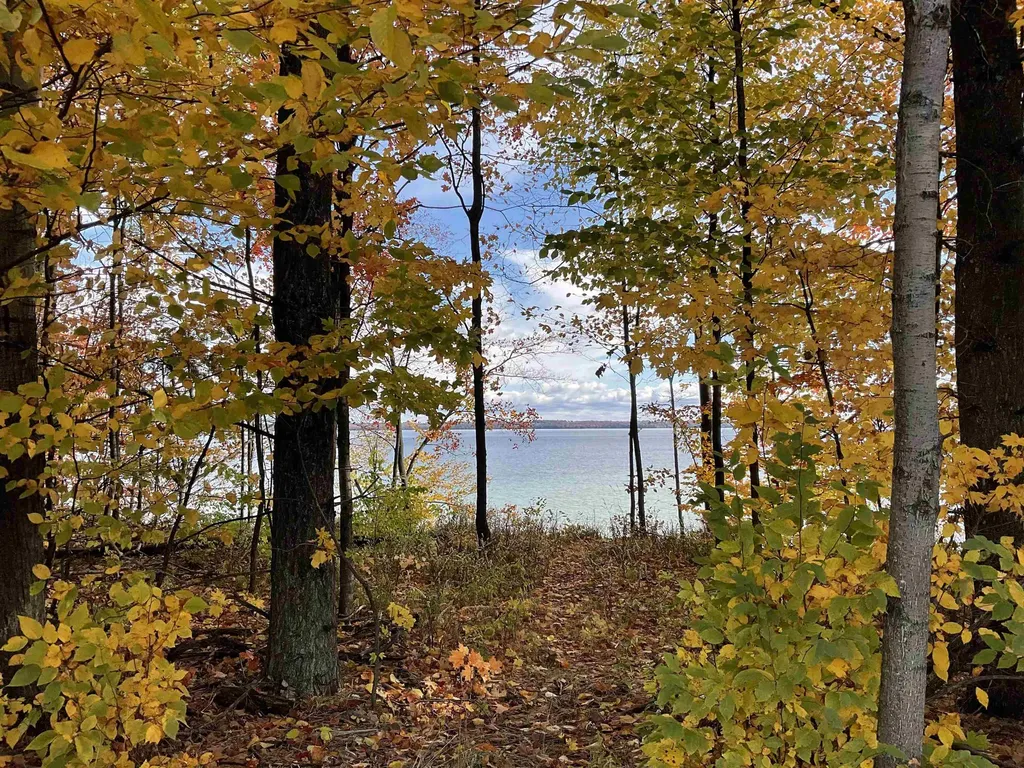S Lee Point Road Bingham Township MI 49682