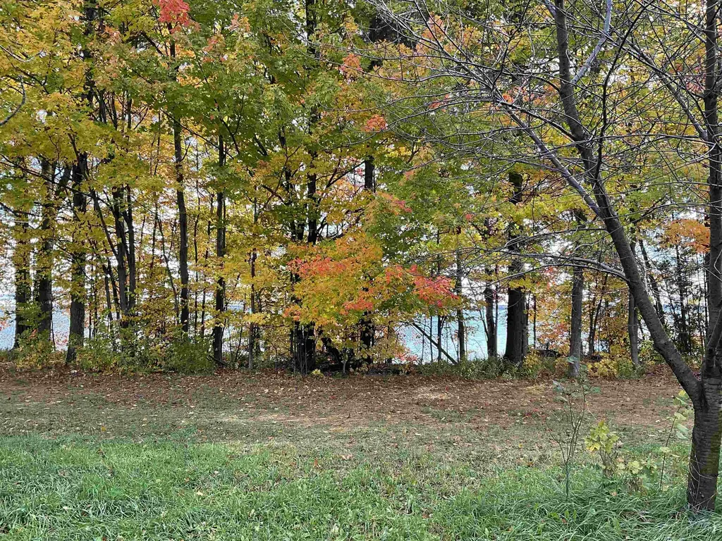 S Lee Point Road Bingham Township MI 49682