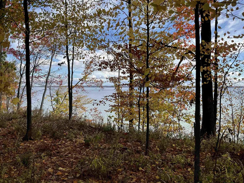 S Lee Point Road Bingham Township MI 49682