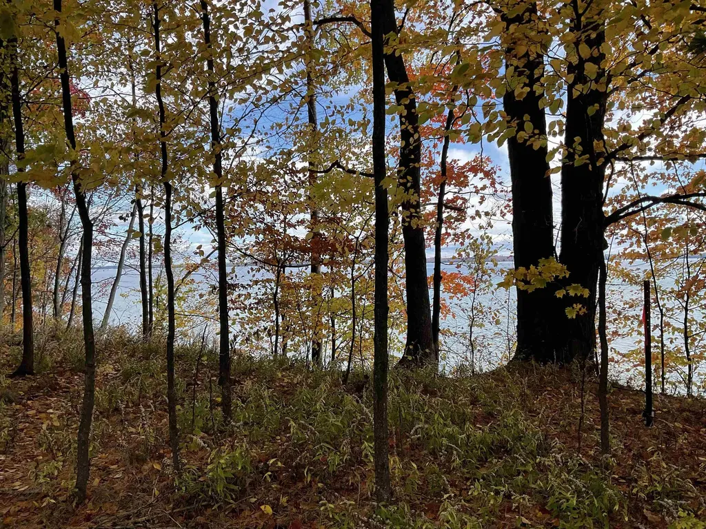 S Lee Point Road Bingham Township MI 49682