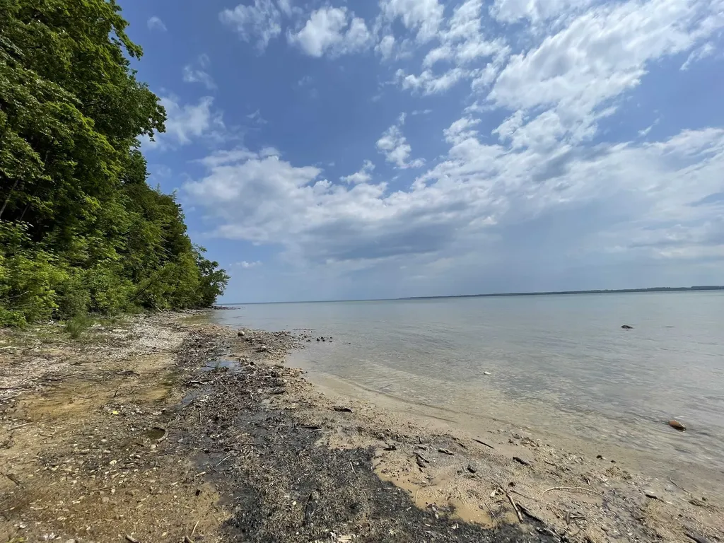 S Lee Point Road Bingham Township MI 49682