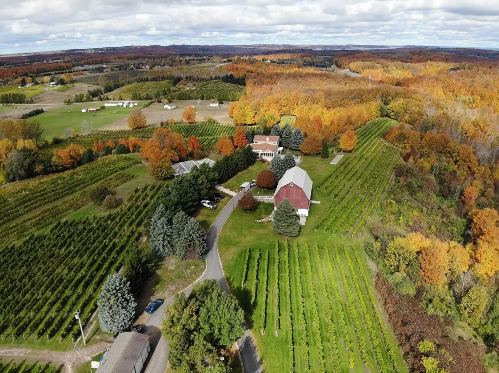 10343 E Hilltop Road Bingham Township MI 49682