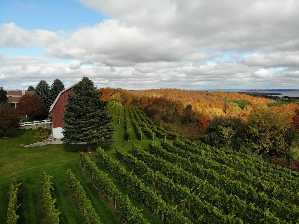 10343 E Hilltop Road Bingham Township MI 49682