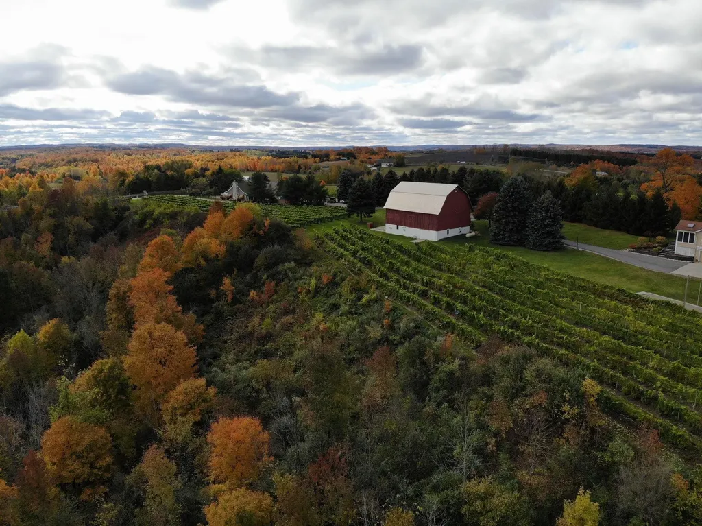 10343 E Hilltop Road Bingham Township MI 49682