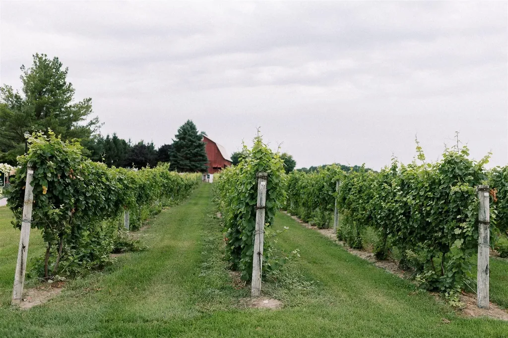 10343 E Hilltop Road Bingham Township MI 49682