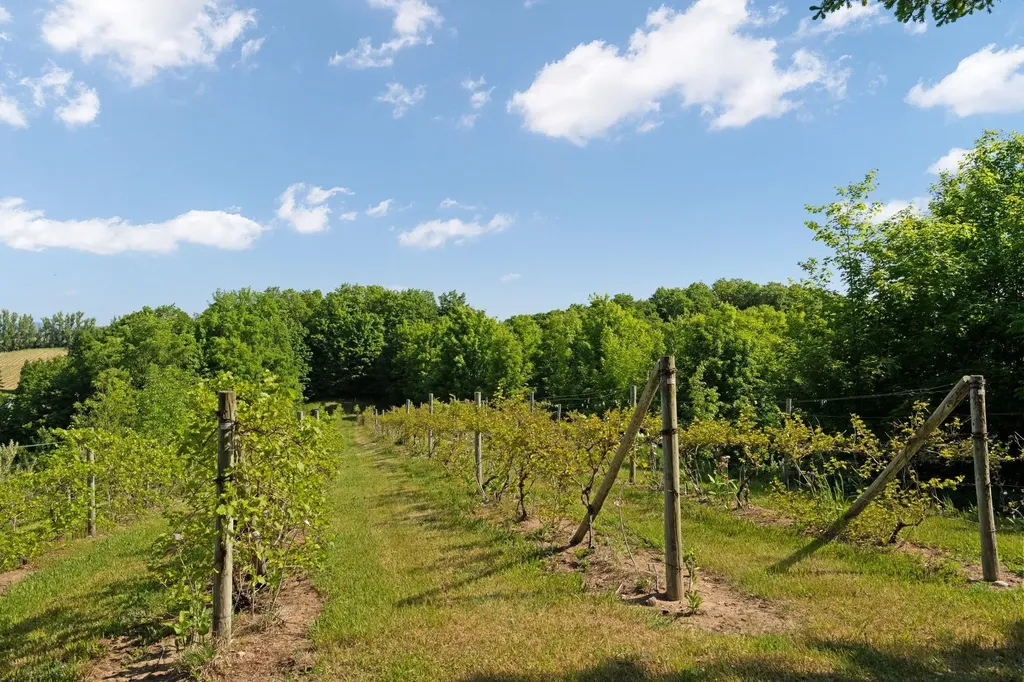 10343 E Hilltop Road Bingham Township MI 49682
