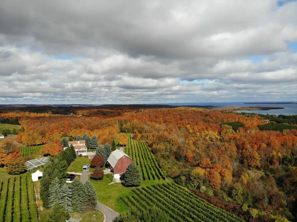 10343 E Hilltop Road Bingham Township MI 49682