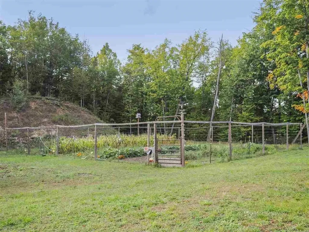 2147 Wildwood Trail Jordan Township MI 49727