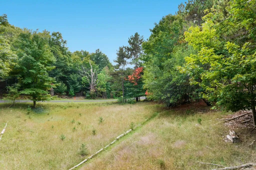 00-C Pautz Road Crystal Lake Township MI 49635