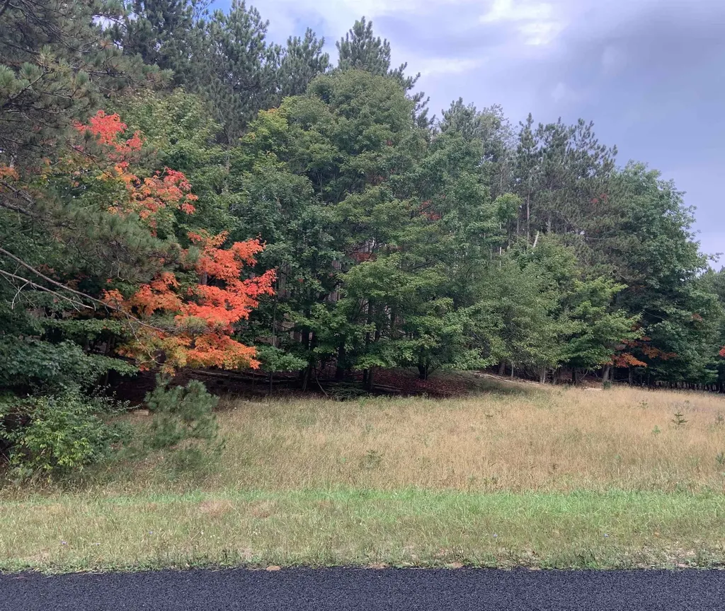 00-C Pautz Road Crystal Lake Township MI 49635