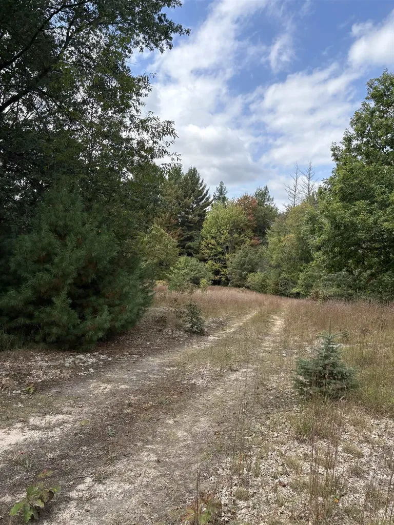 7267 S Snyder Road Springfield Township MI 49633