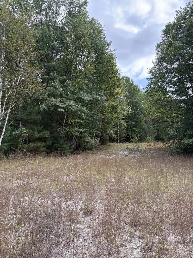 7267 S Snyder Road Springfield Township MI 49633