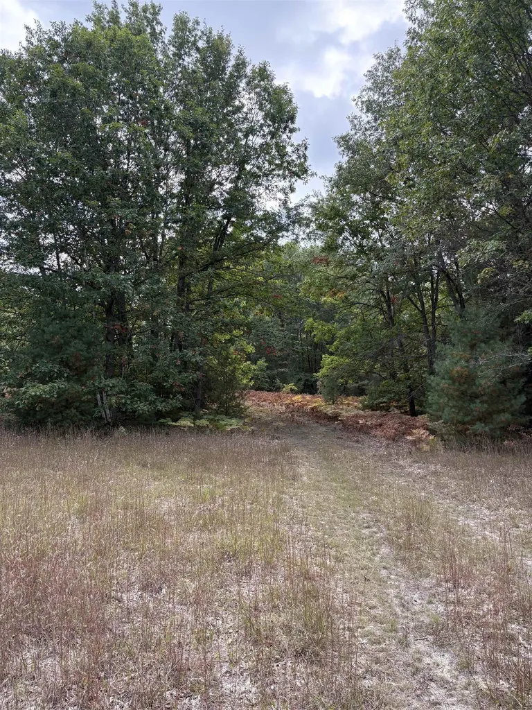 7267 S Snyder Road Springfield Township MI 49633