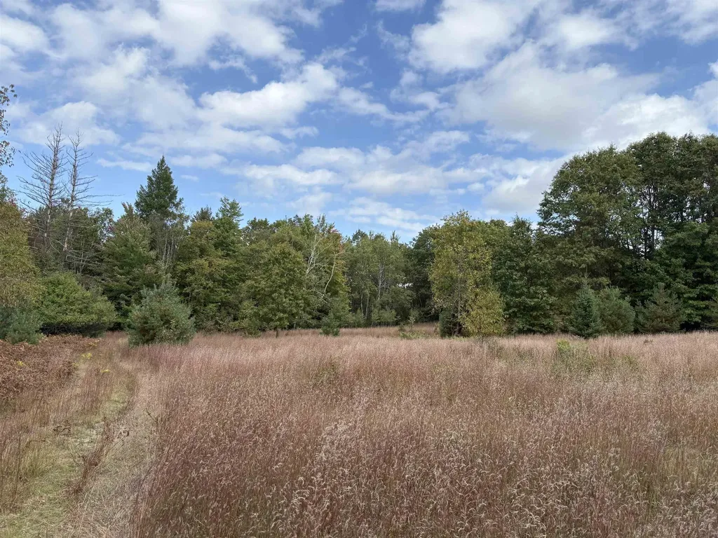 7267 S Snyder Road Springfield Township MI 49633