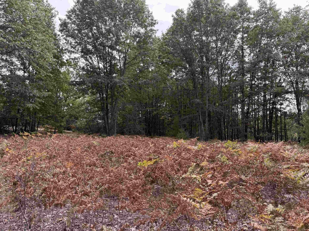 7267 S Snyder Road Springfield Township MI 49633