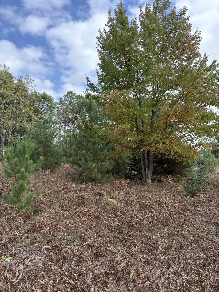 7267 S Snyder Road Springfield Township MI 49633