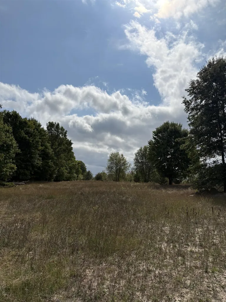 7267 S Snyder Road Springfield Township MI 49633