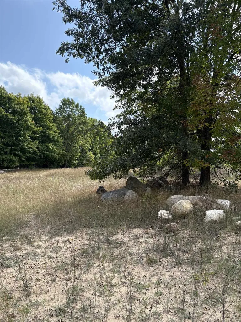 7267 S Snyder Road Springfield Township MI 49633