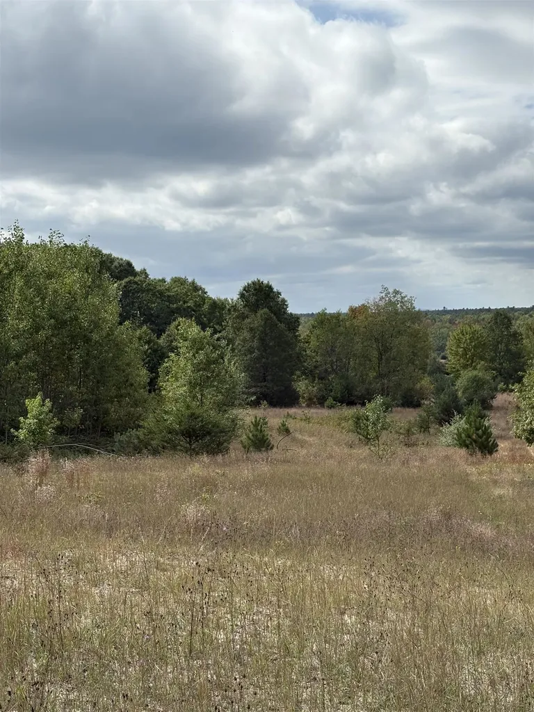 7267 S Snyder Road Springfield Township MI 49633