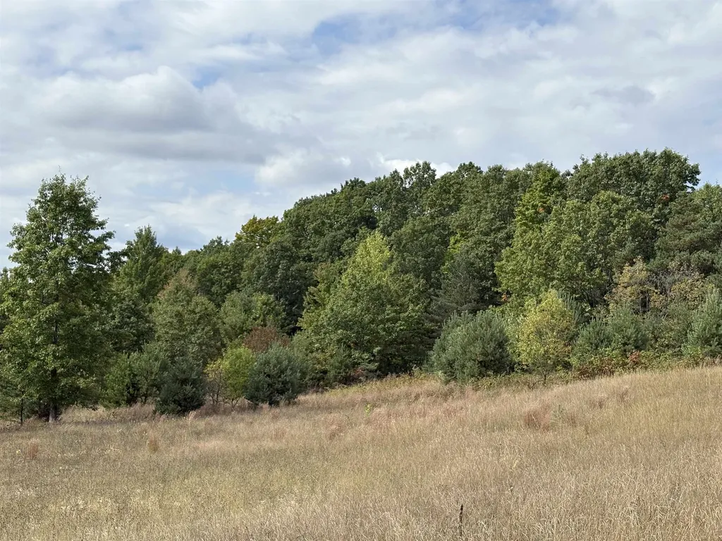 7267 S Snyder Road Springfield Township MI 49633