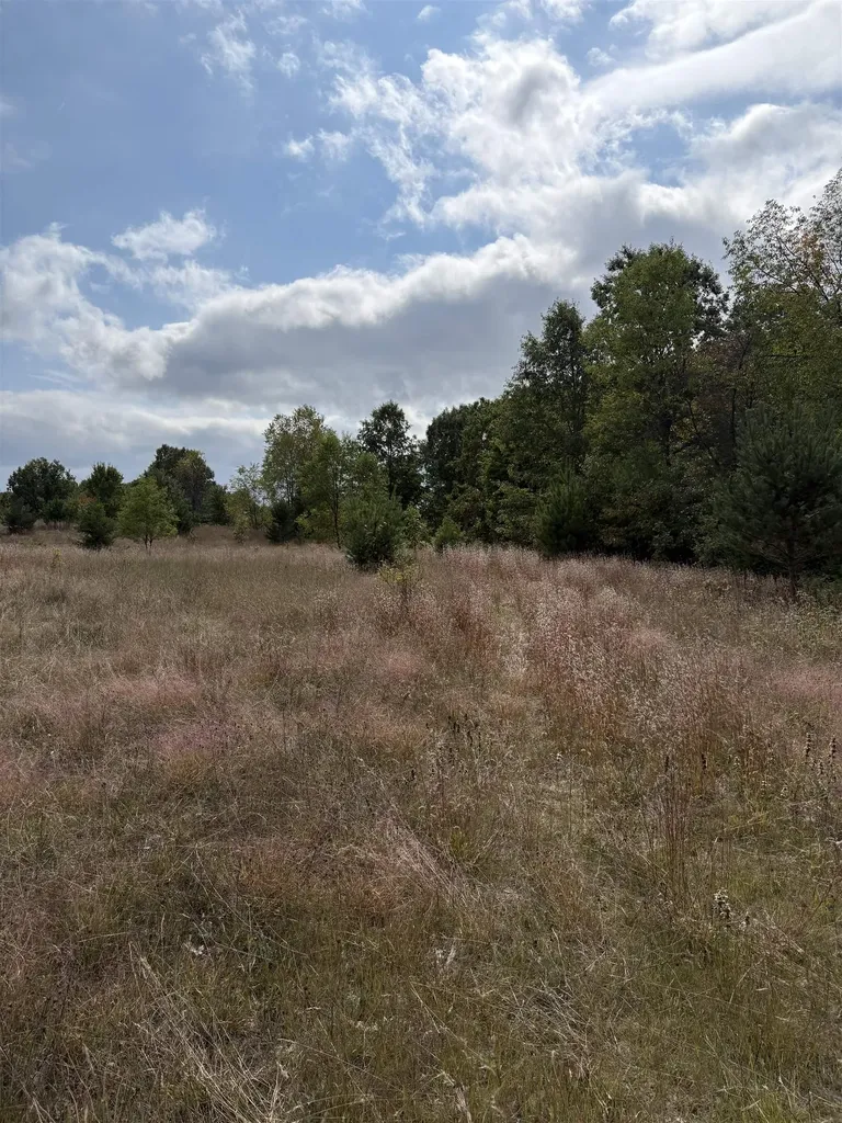 7267 S Snyder Road Springfield Township MI 49633