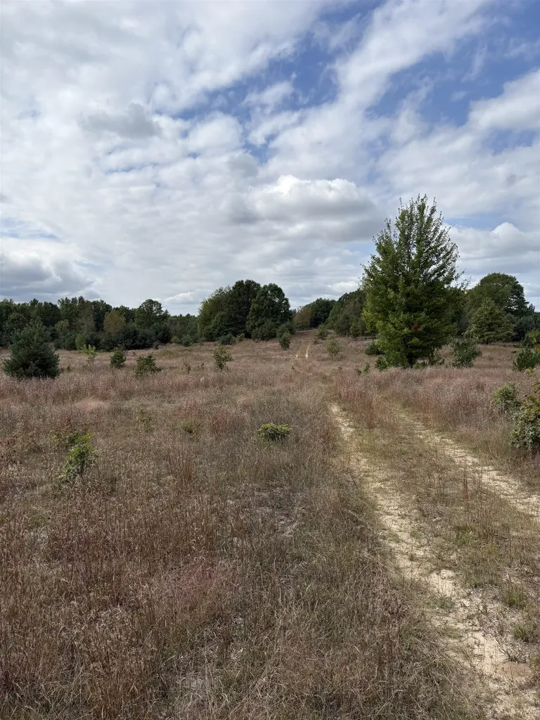 7267 S Snyder Road Springfield Township MI 49633