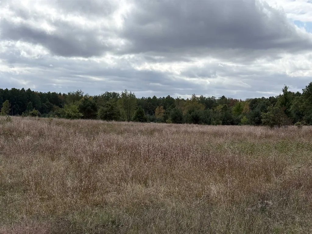 7267 S Snyder Road Springfield Township MI 49633