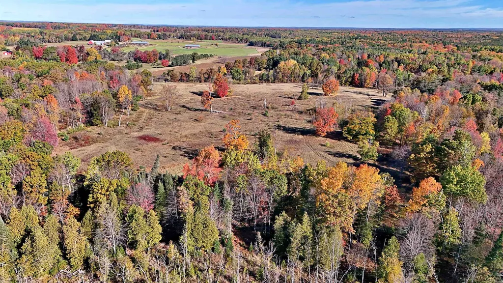 0 Twin Lake Road Middle Branch Township MI 49665