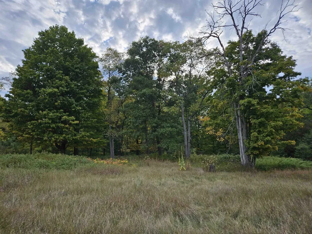 0 Twin Lake Road Middle Branch Township MI 49665