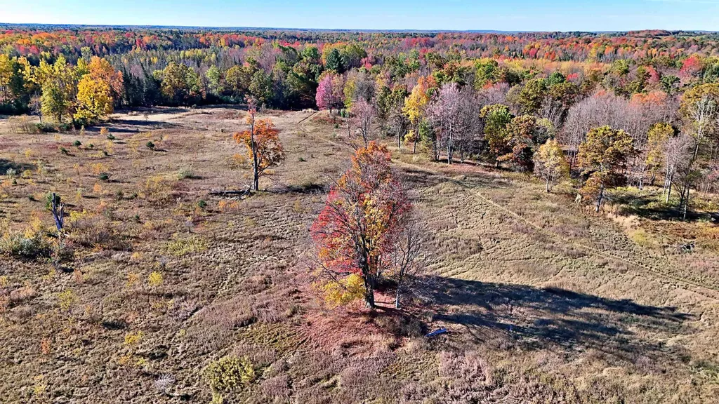 0 Twin Lake Road Middle Branch Township MI 49665