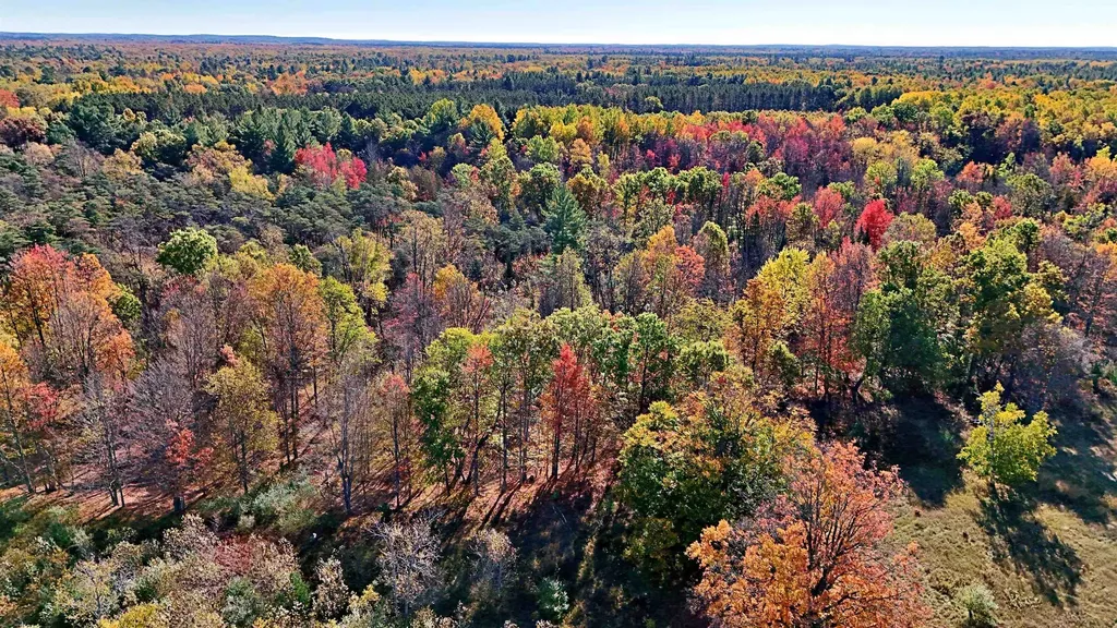 0 Twin Lake Road Middle Branch Township MI 49665