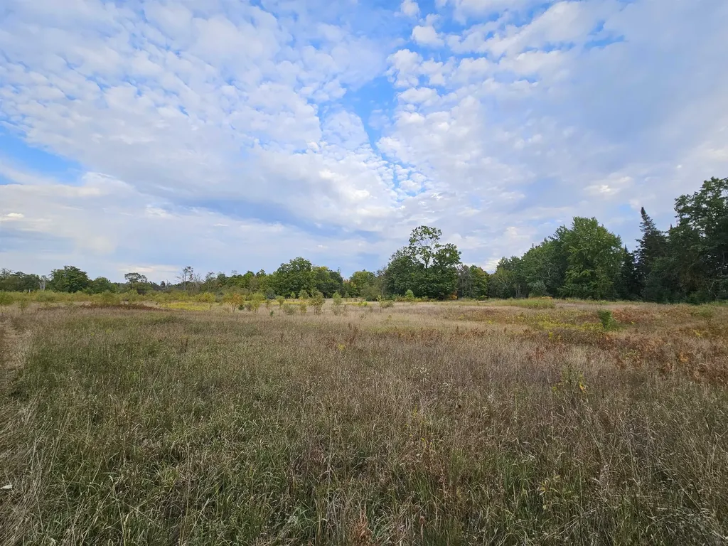 0 Twin Lake Road Middle Branch Township MI 49665