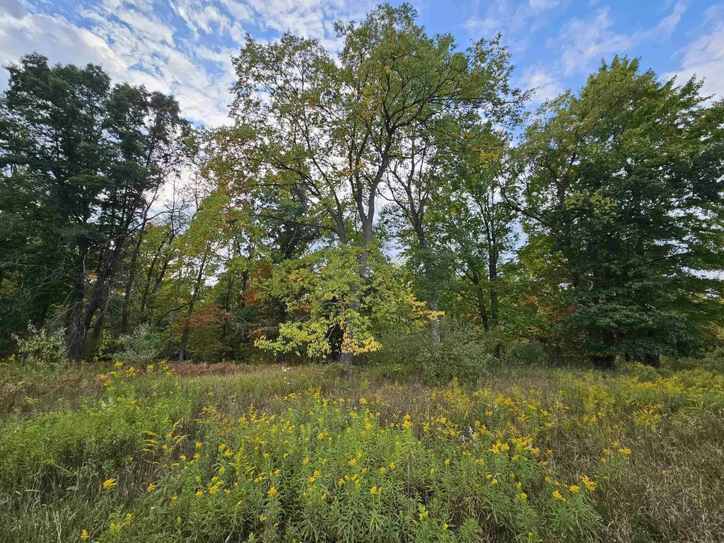 0 Twin Lake Road Middle Branch Township MI 49665