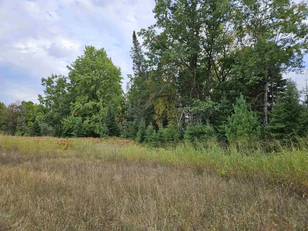 0 Twin Lake Road Middle Branch Township MI 49665
