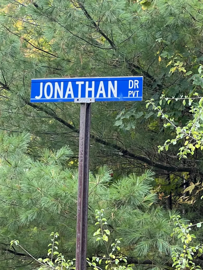 Lot 170 Jonathon Drive Milton Township MI 49676