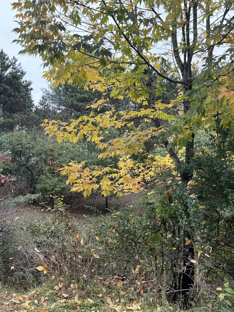 Lot 170 Jonathon Drive Milton Township MI 49676