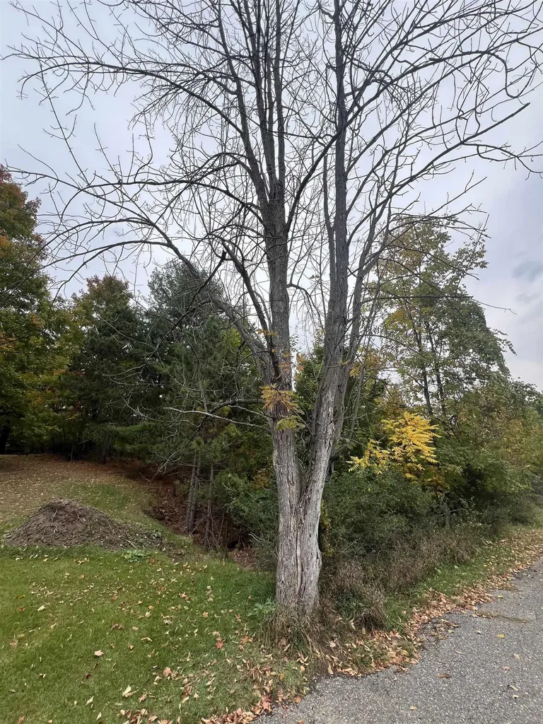 Lot 170 Jonathon Drive Milton Township MI 49676