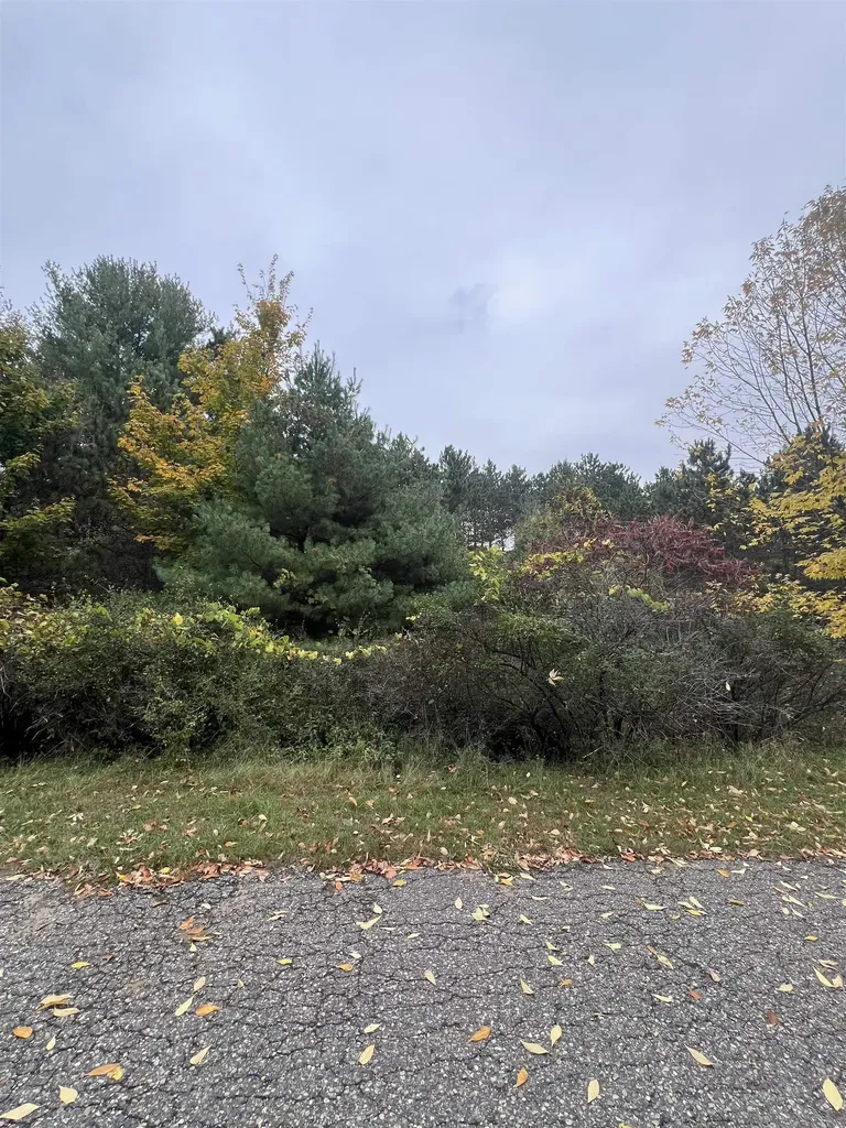 Lot 170 Jonathon Drive Milton Township MI 49676