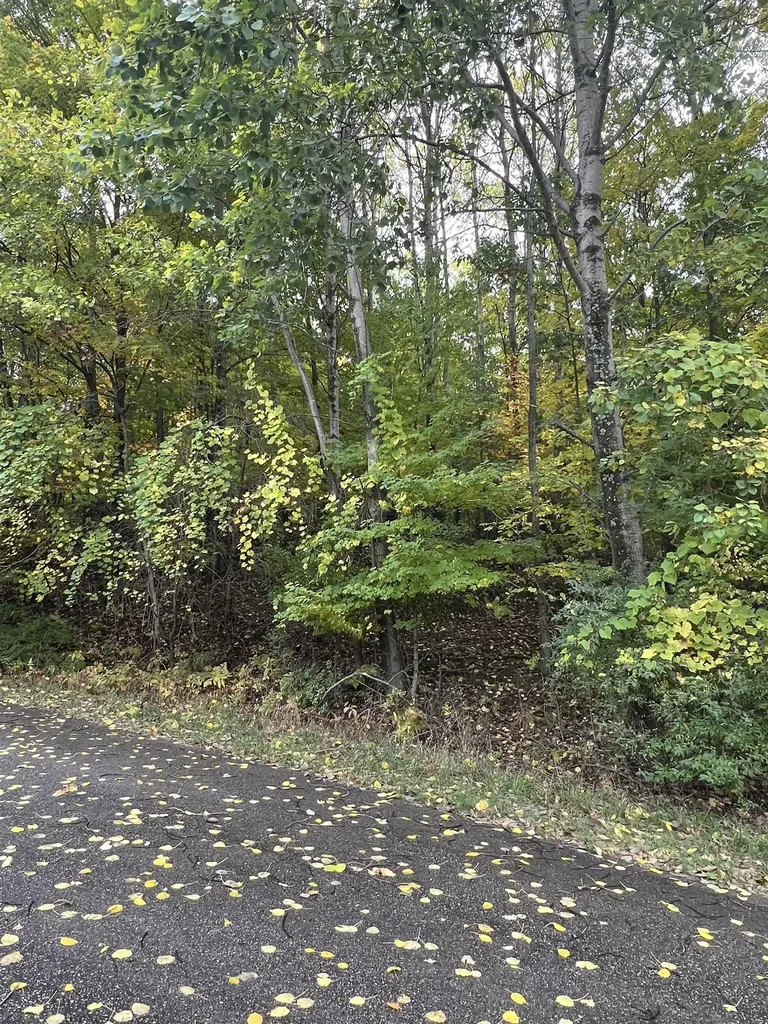 Lot 77 Valley View Court Milton Township MI 49676