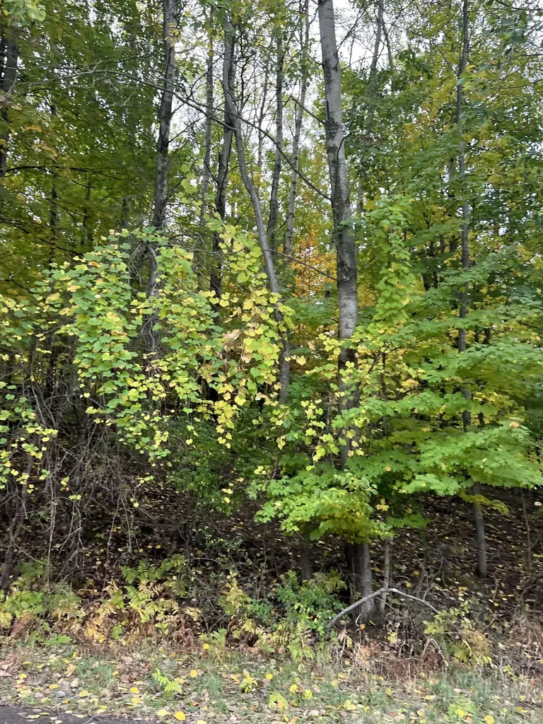 Lot 77 Valley View Court Milton Township MI 49676