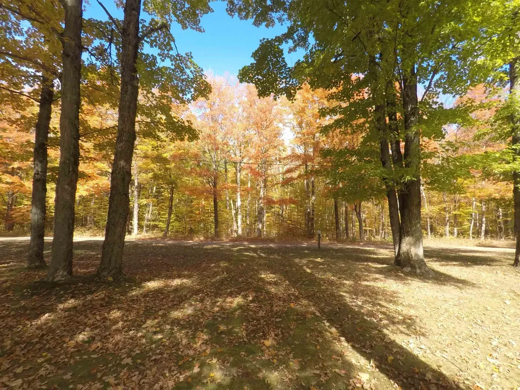 7841 W 28 Road Slagle Township MI 49638