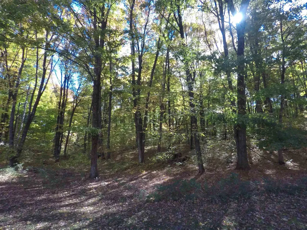 7841 W 28 Road Slagle Township MI 49638